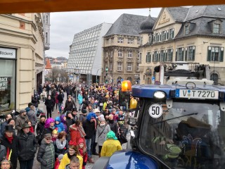 Faschingsumzug - 03.03.2019
