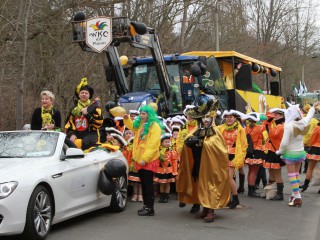 Faschingsumzug - 03.03.2019
