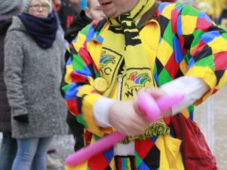 Faschingsumzug - 03.03.2019