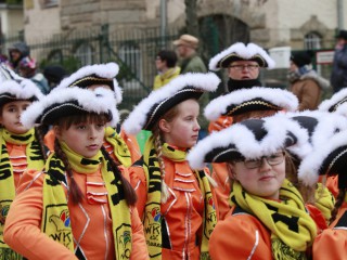 Faschingsumzug - 03.03.2019