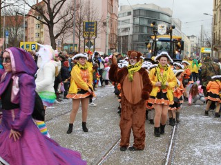 Faschingsumzug - 03.03.2019