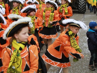 Faschingsumzug - 03.03.2019