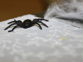 Hauptveranstaltung - 16.02.2019