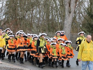 Faschingsumzug Plauen - 23.02.2020