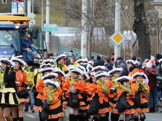 Faschingsumzug Plauen - 23.02.2020