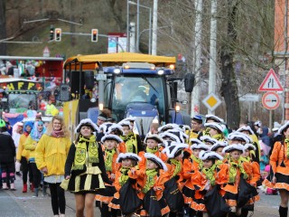 Faschingsumzug Plauen - 23.02.2020
