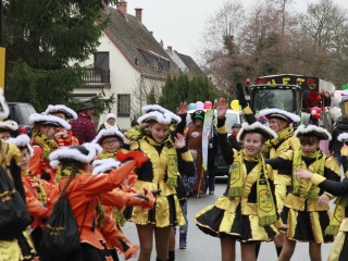 Faschingsumzug Plauen - 23.02.2020