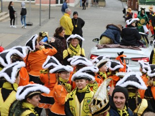 Faschingsumzug Plauen - 23.02.2020