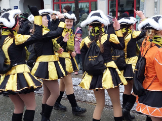 Faschingsumzug - 19.02.2023