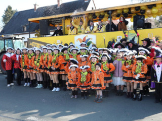 Plauener Faschingsumzug - 02.03.2025