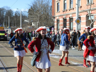 Plauener Faschingsumzug - 02.03.2025