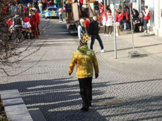 Plauener Faschingsumzug - 02.03.2025