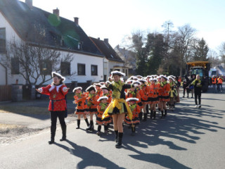 Plauener Faschingsumzug - 02.03.2025