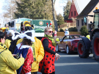 Plauener Faschingsumzug - 02.03.2025