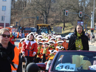 Plauener Faschingsumzug - 02.03.2025