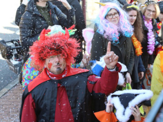 Plauener Faschingsumzug - 02.03.2025