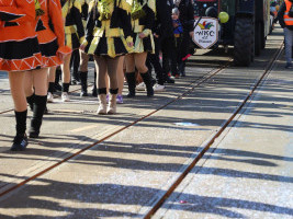 Plauener Faschingsumzug - 02.03.2025