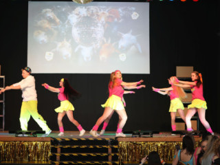 Hauptfasching des WKC - 31.01.2026