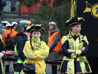 Plauener Faschingsumzug - 15.02.2026