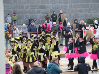 Plauener Faschingsumzug - 15.02.2026