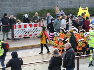 Plauener Faschingsumzug - 15.02.2026