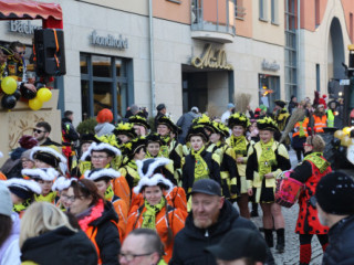 Plauener Faschingsumzug - 15.02.2026