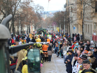 Plauener Faschingsumzug - 15.02.2026