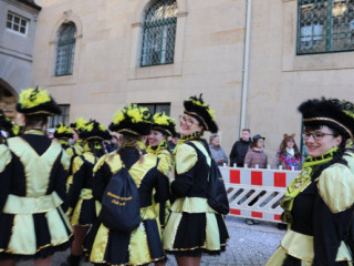 Plauener Faschingsumzug - 15.02.2026