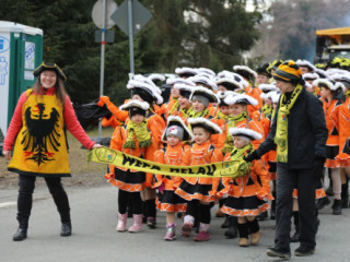 Plauener Faschingsumzug - 15.02.2026