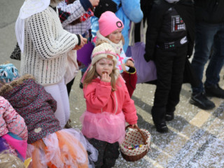 Plauener Faschingsumzug - 15.02.2026