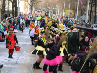 Plauener Faschingsumzug - 15.02.2026