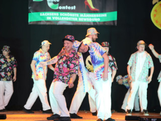 14. Säxmen-Dance-Contest - 28.02.2026