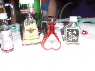 Hauptveranstaltung - 02.02.2013