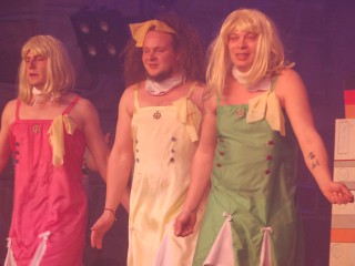 Elstertanzspektakel - 08.03.2014