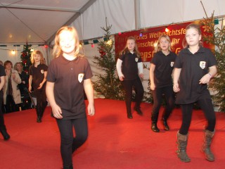 Weihnachtsmarkt - 30.11.2014