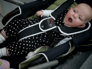 Rosenmontag im Elster Park - 16.02.2015