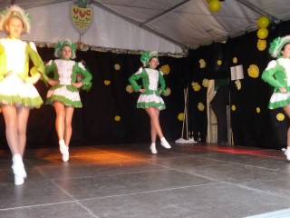 Faschingsumzug - 07.02.2016