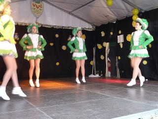 Faschingsumzug - 07.02.2016