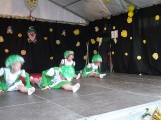 Faschingsumzug - 07.02.2016