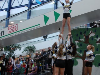 Rosenmontag - 08.02.2016