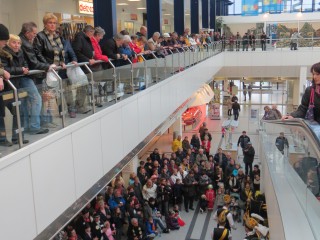 Rosenmontag - 08.02.2016