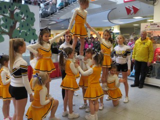 Rosenmontag - 08.02.2016