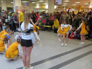 Rosenmontag - 08.02.2016