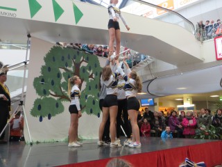 Rosenmontag - 08.02.2016