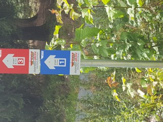 Tanzcamp - 20.08.2016