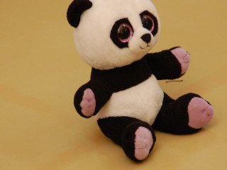 Tanzcamp - 20.08.2016